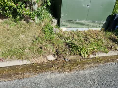 Water Leak, a report photo