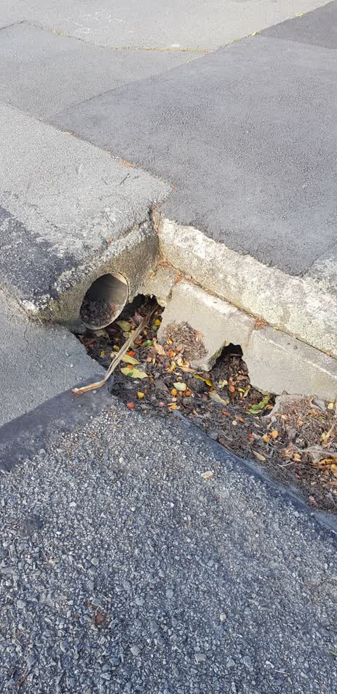 Roading/Streets, a report photo