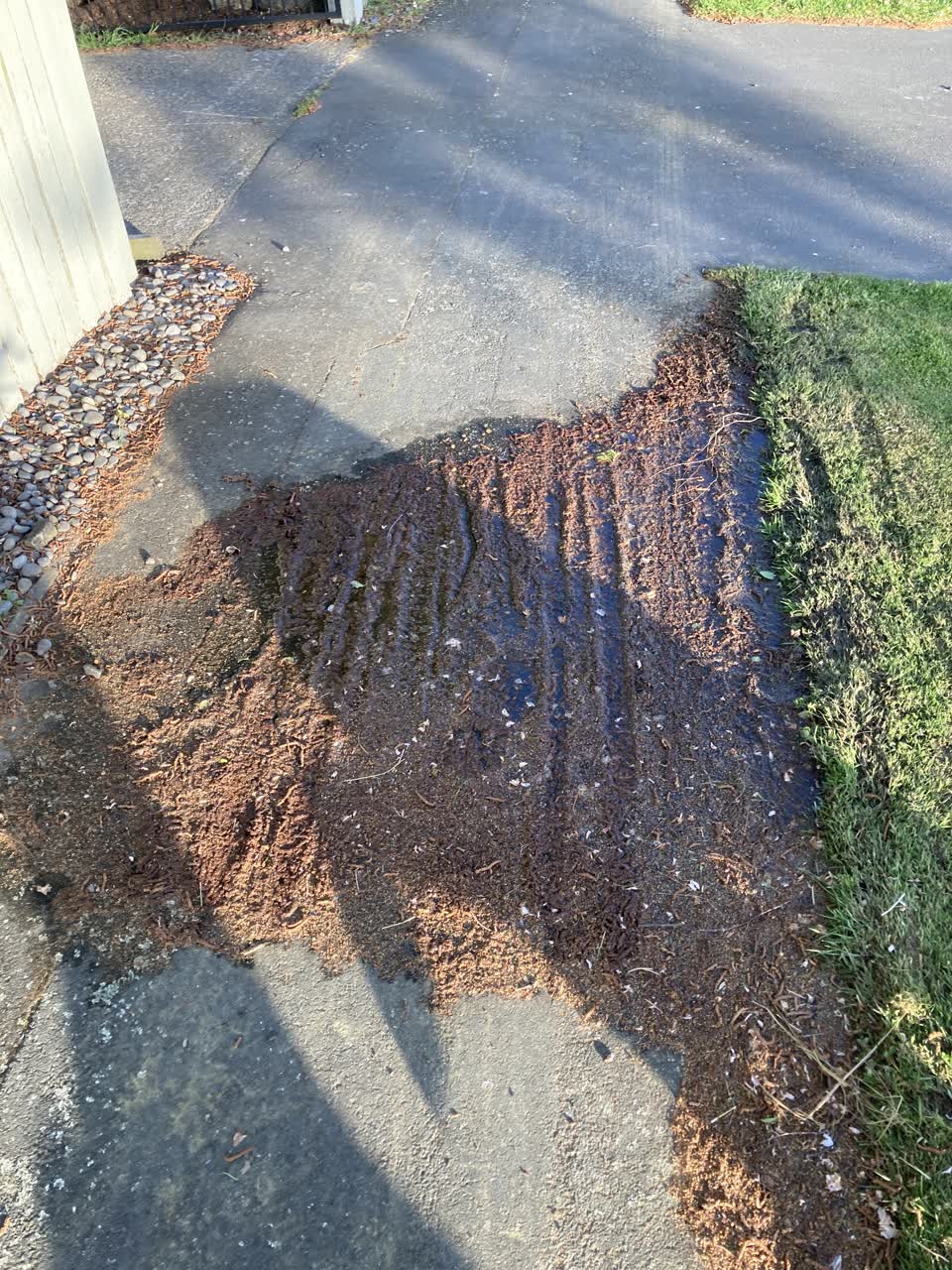 The photograph attached to this water leak report