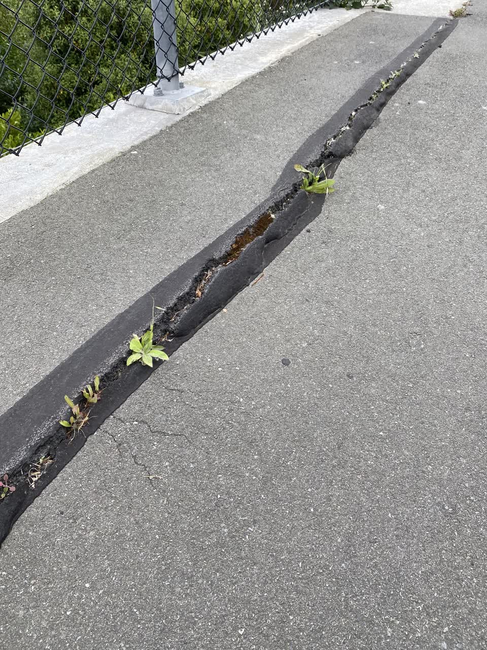 The photograph attached to this roading/streets report