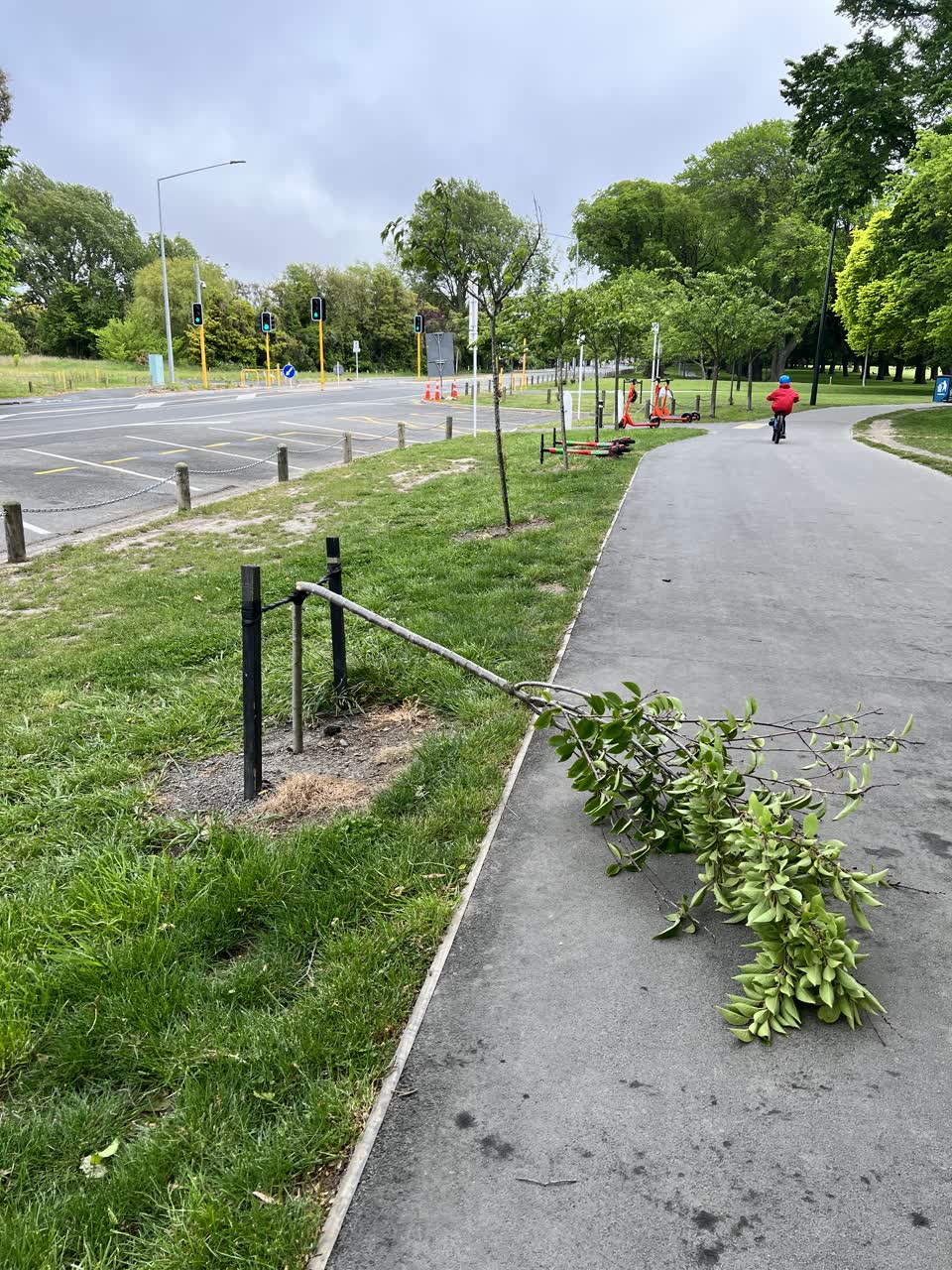 The photograph attached to this parks report