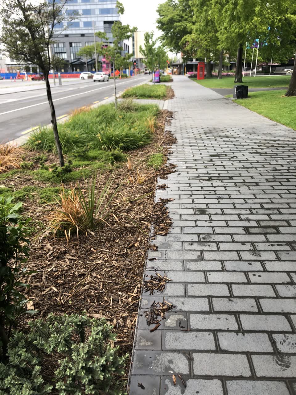 The photograph attached to this parks report