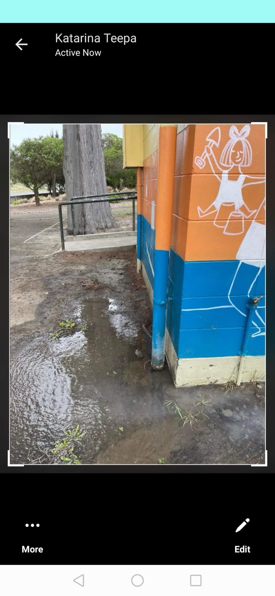 The photograph attached to this parks report