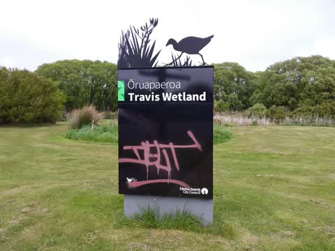 Graffiti — a report photo