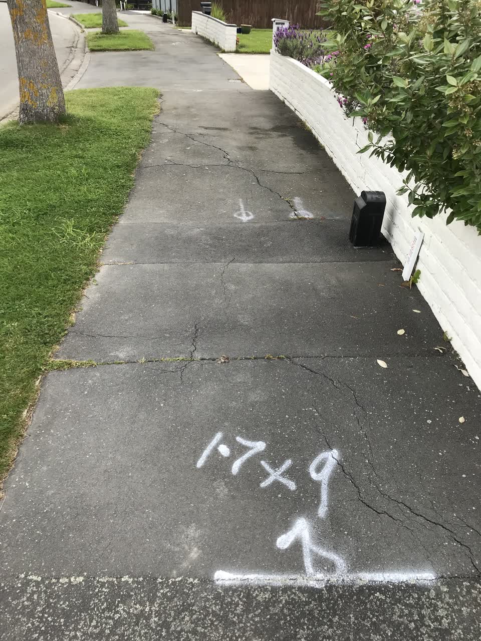 The photograph attached to this roading/streets report