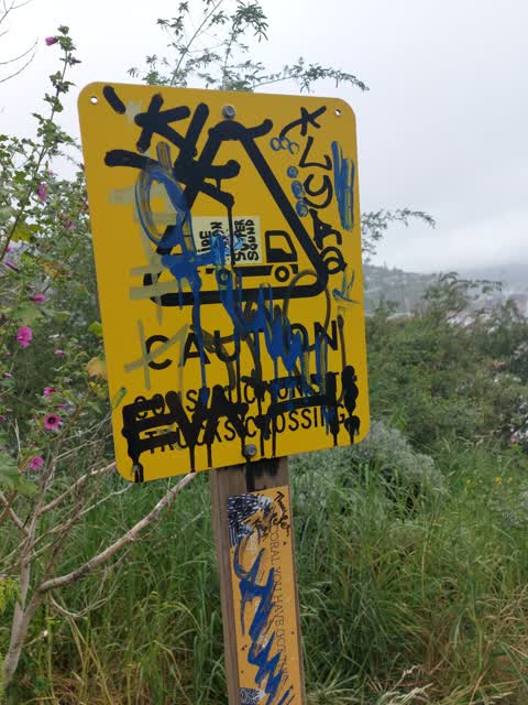 Graffiti — a report photo