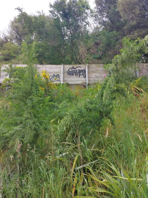 Graffiti — a report photo