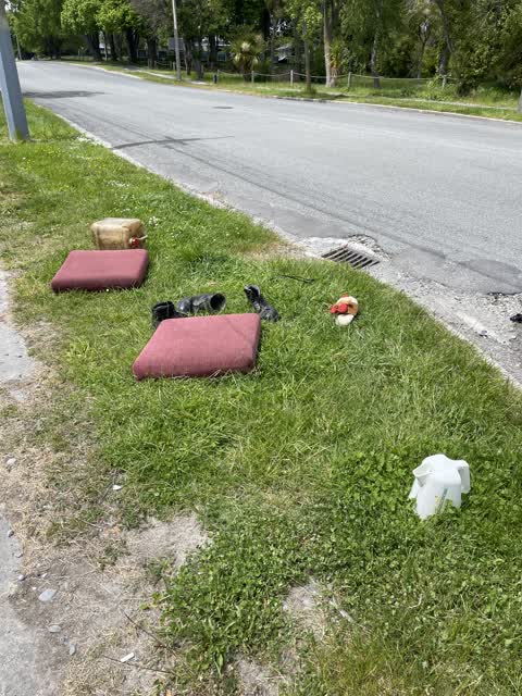 Rubbish/Recycling, a report photo