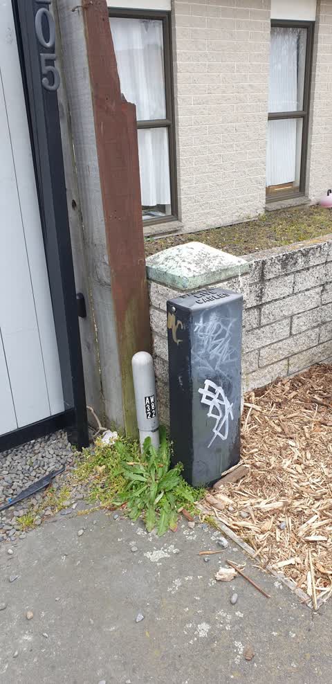 Graffiti, a report photo
