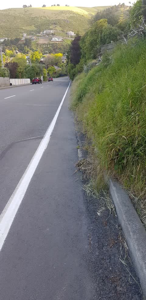 Roading/Streets, a report photo