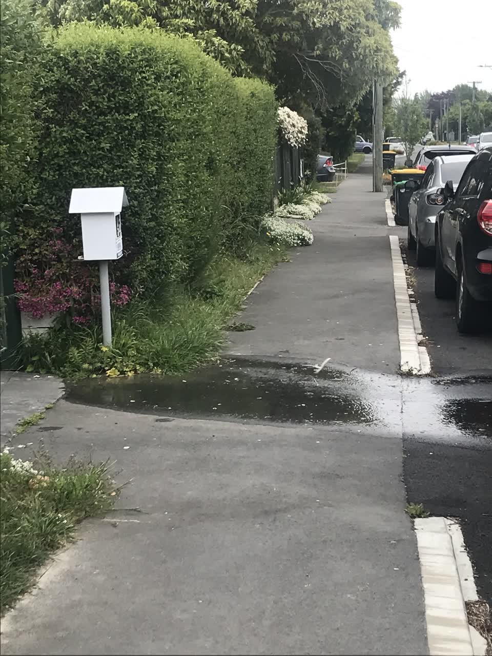 The photograph attached to this water supply report
