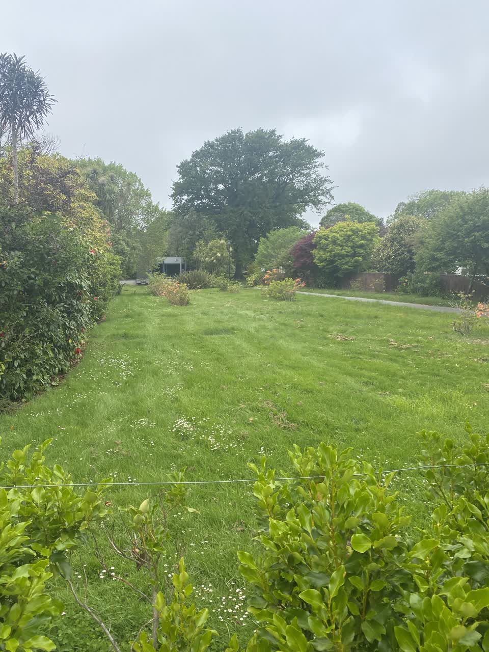 The photograph attached to this parks report