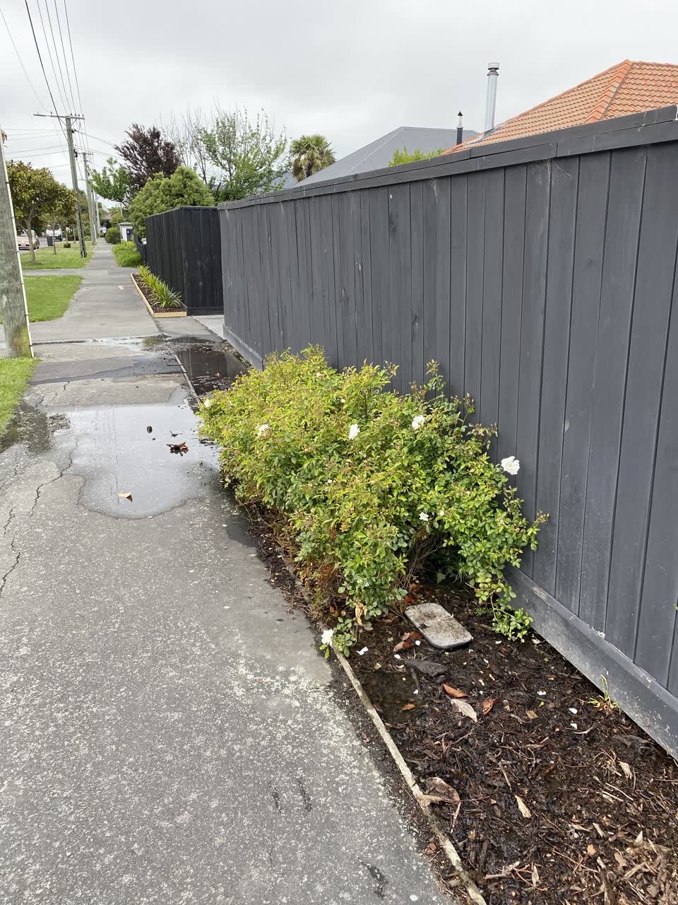The photograph attached to this water leak report