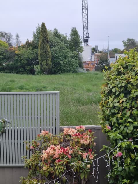 Parks, a report photo