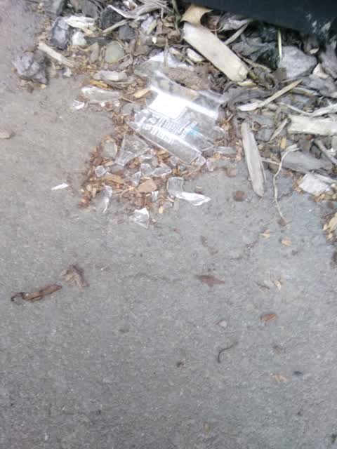Roading/Streets, a report photo