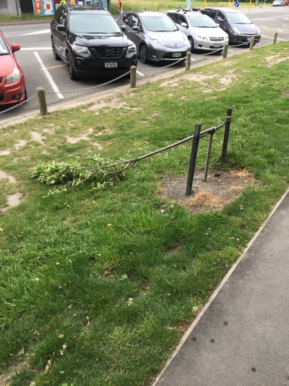 The photograph attached to this parks report