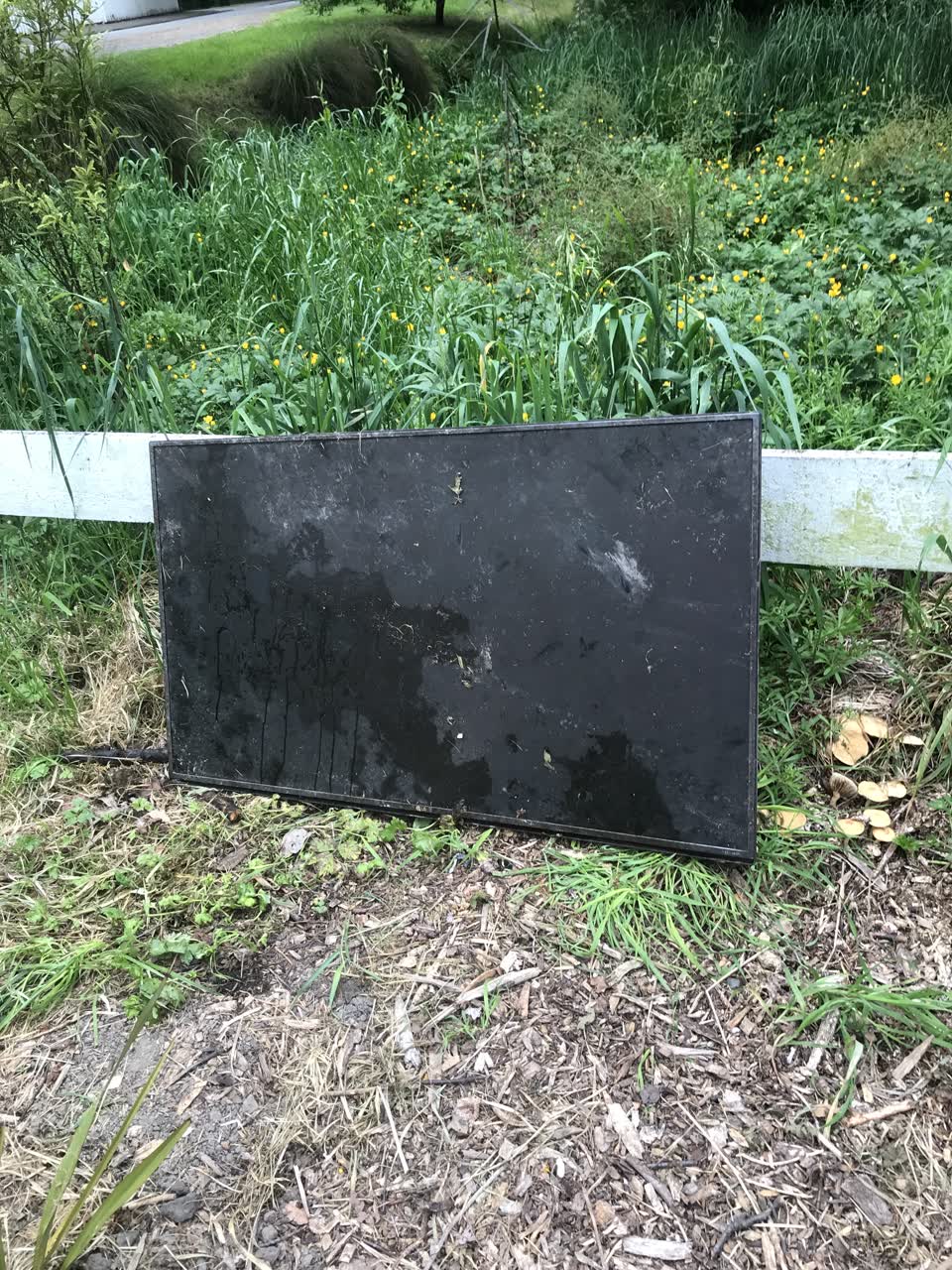 The photograph attached to this parks report