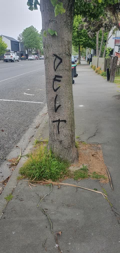 Graffiti, a report photo