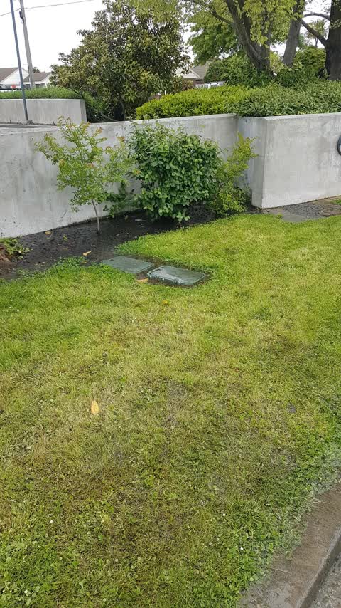 Water Leak, a report photo