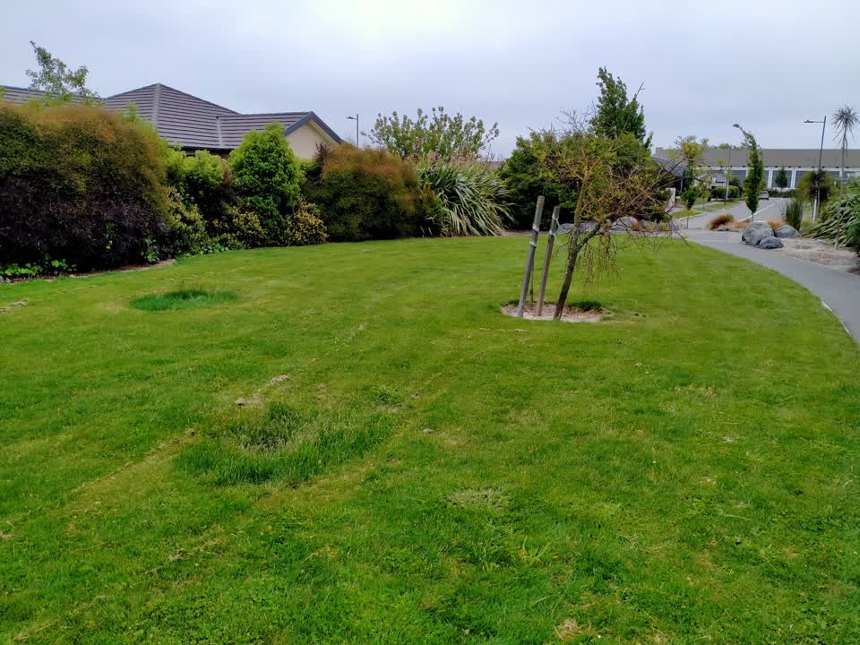 The photograph attached to this parks report