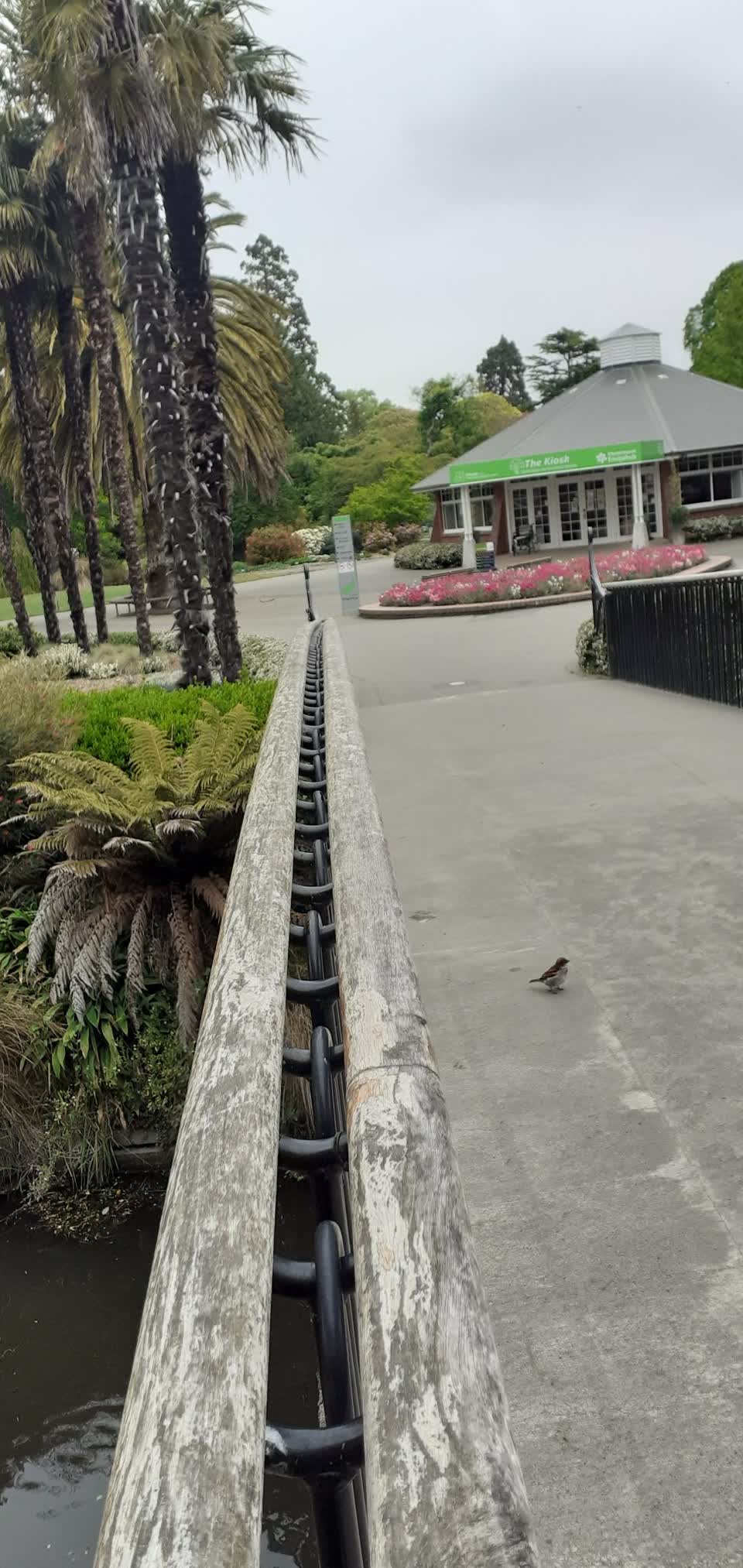 The photograph attached to this parks report