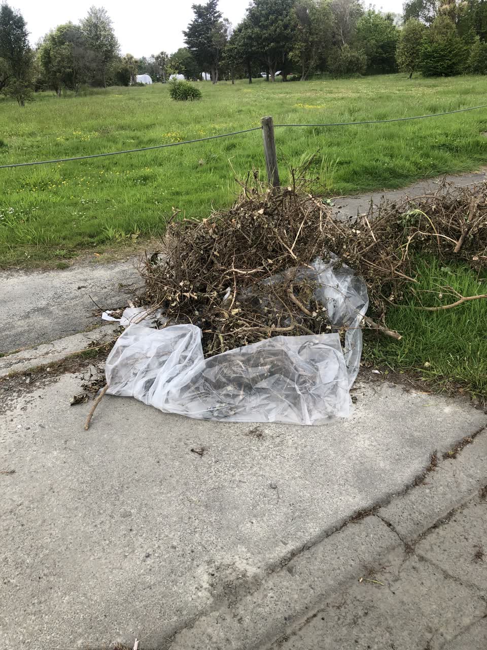 The photograph attached to this rubbish/recycling report