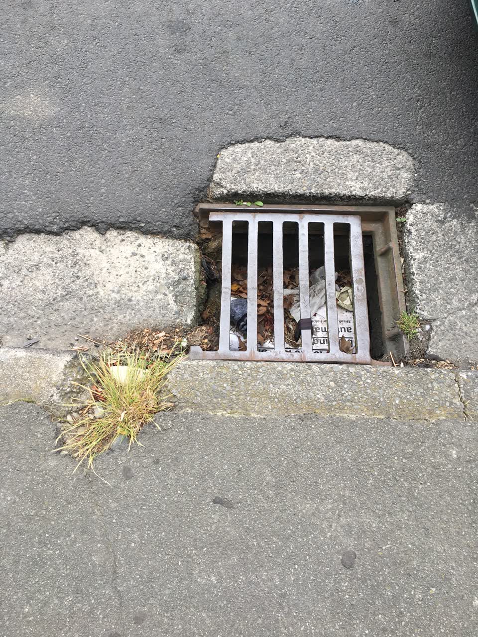 The photograph attached to this wastewater/stormwater report