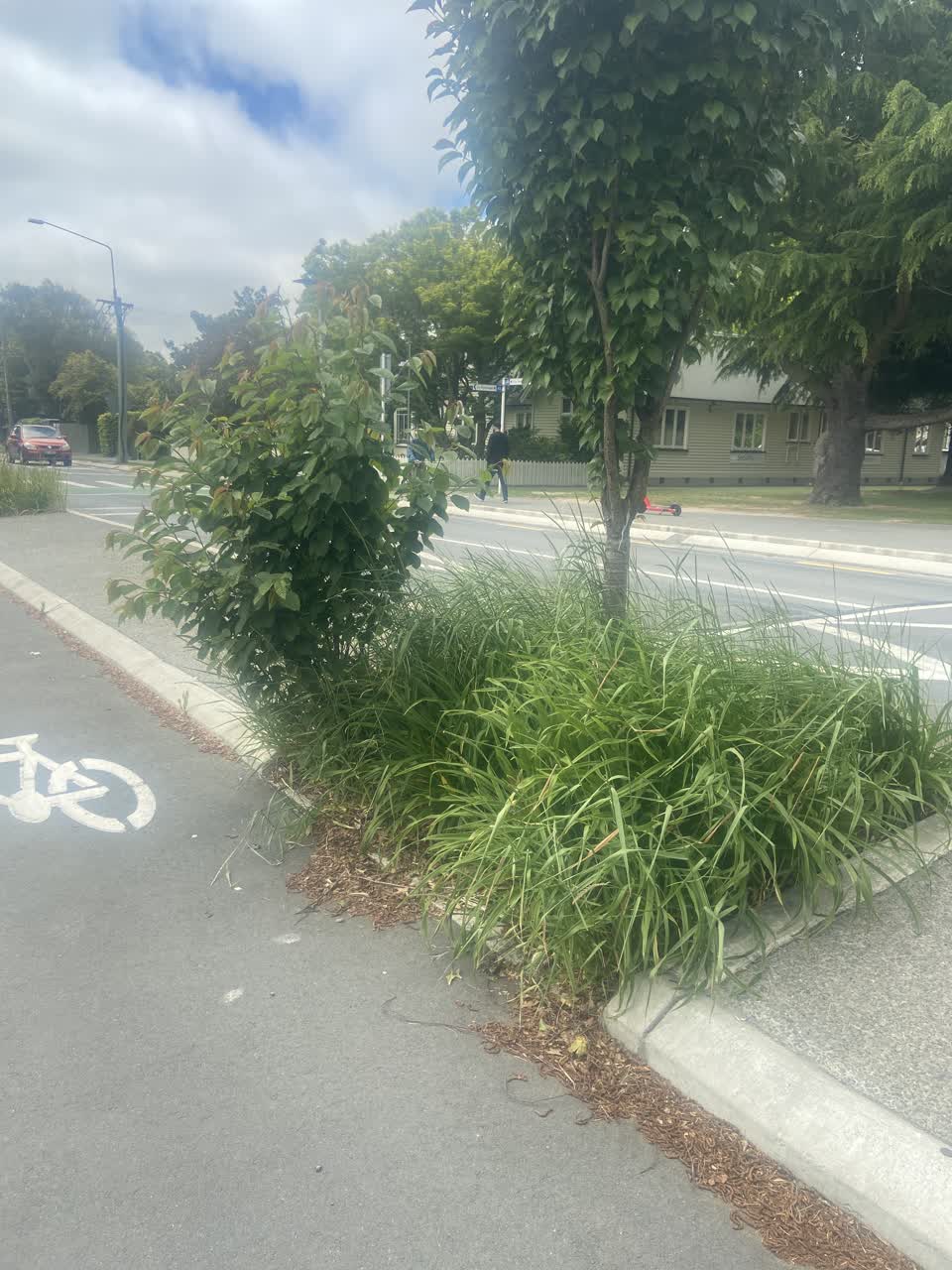 The photograph attached to this parks report