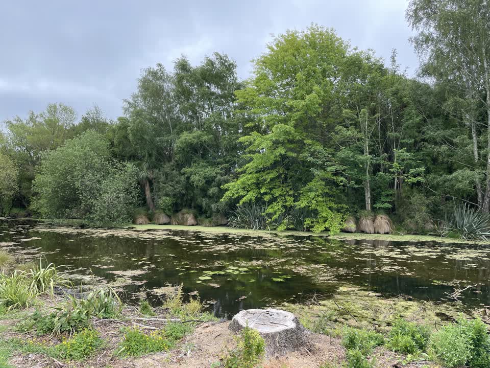 The photograph attached to this general request report