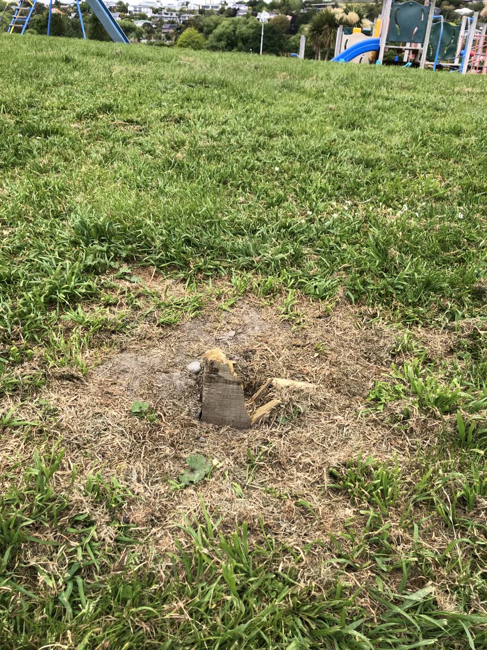 The photograph attached to this parks report