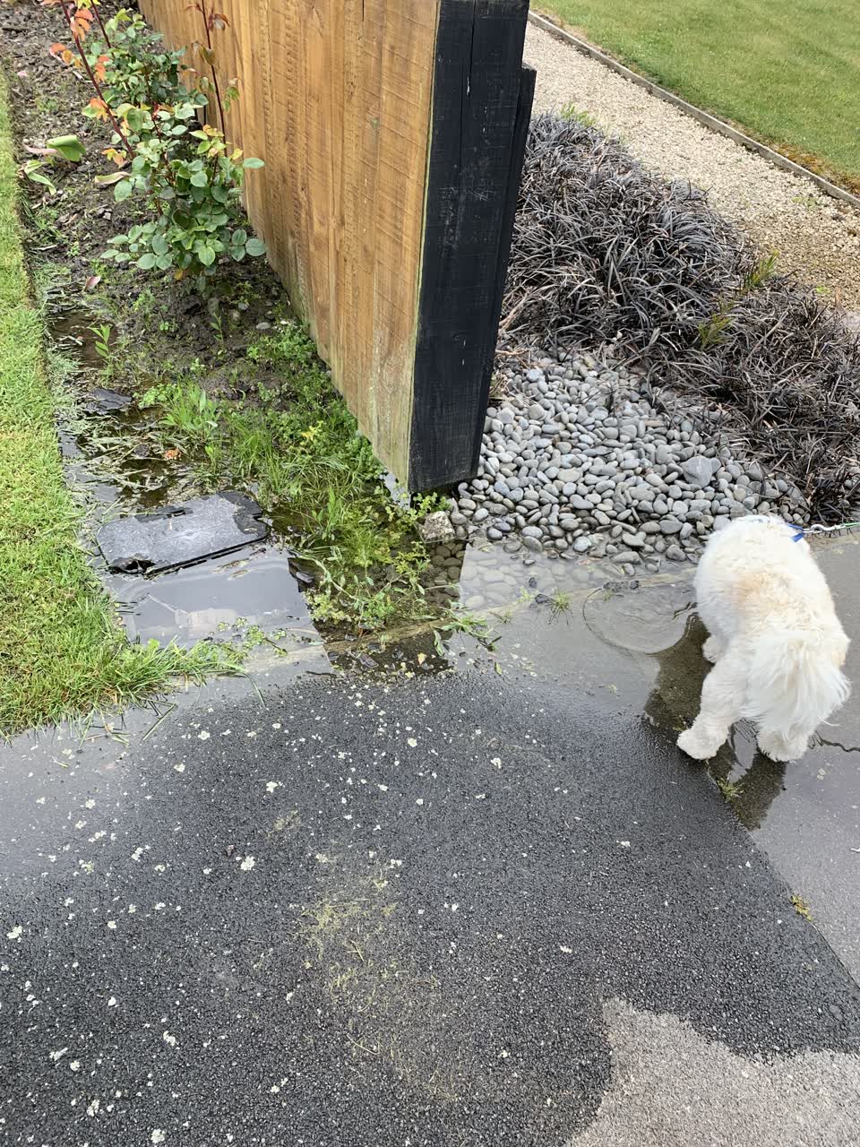 The photograph attached to this water leak report