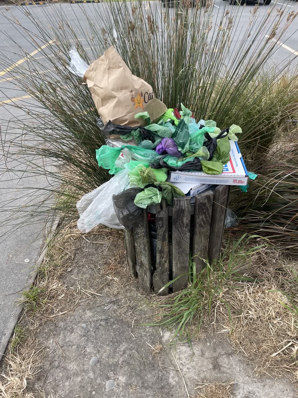 The photograph attached to this parks report