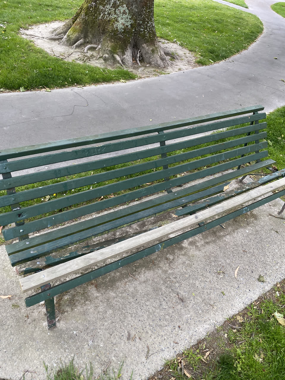 The photograph attached to this parks report