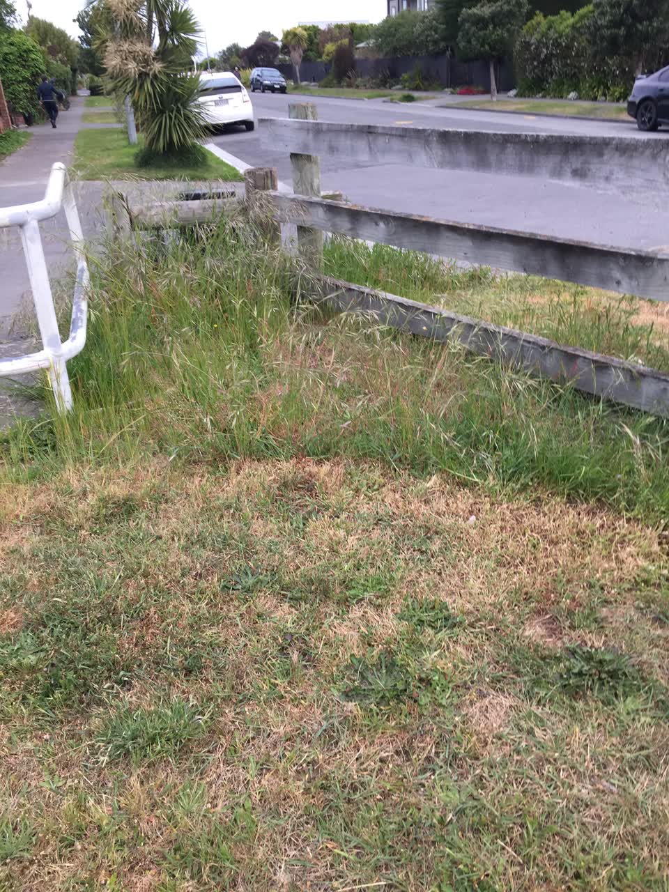 The photograph attached to this parks report