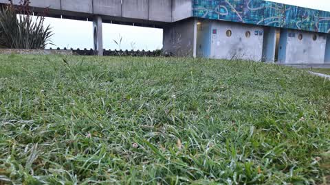 Parks — a report photo