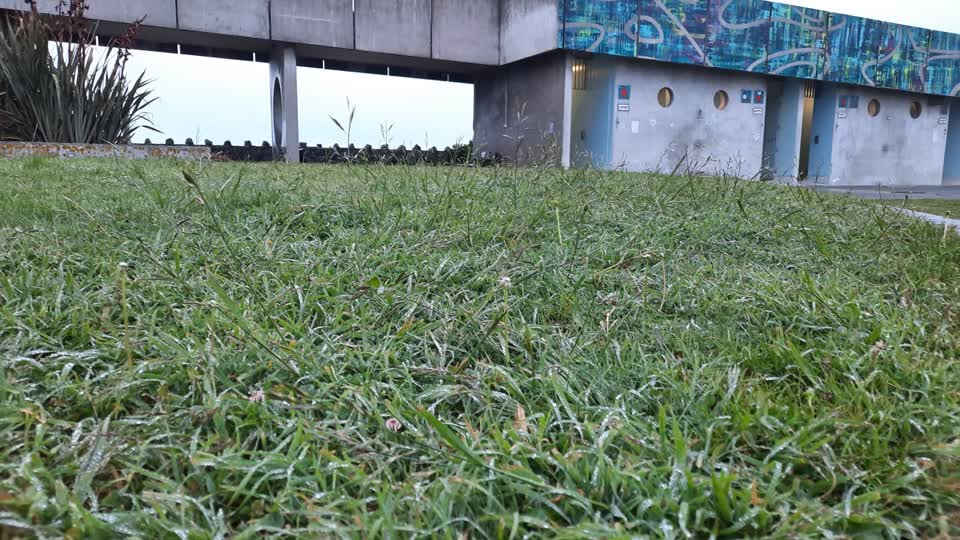 The photograph attached to this parks report