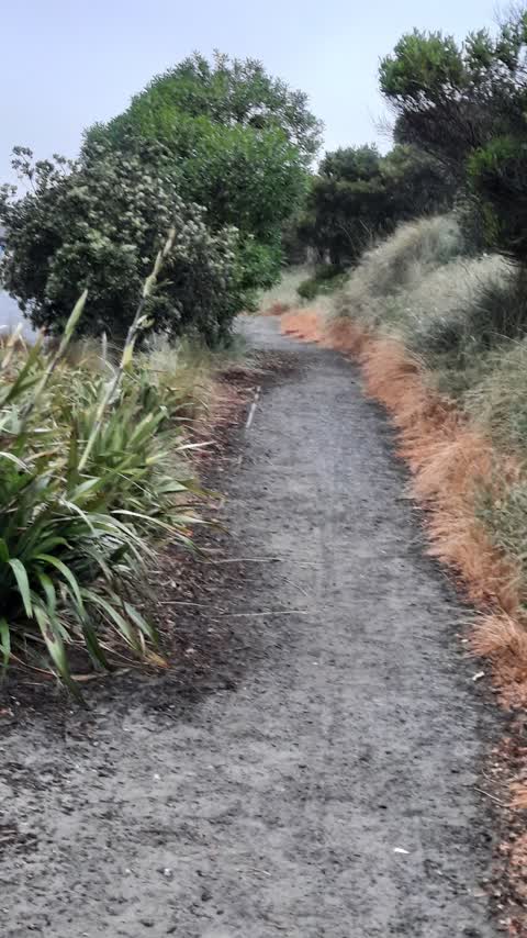 Parks, a report photo