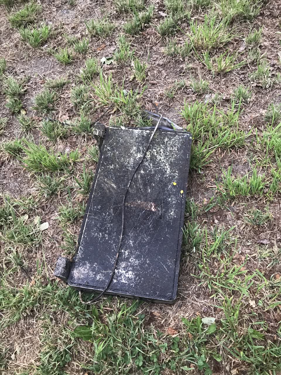 The photograph attached to this parks report