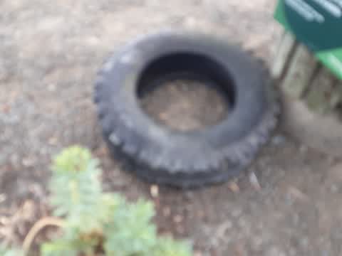 Rubbish/Recycling, a report photo