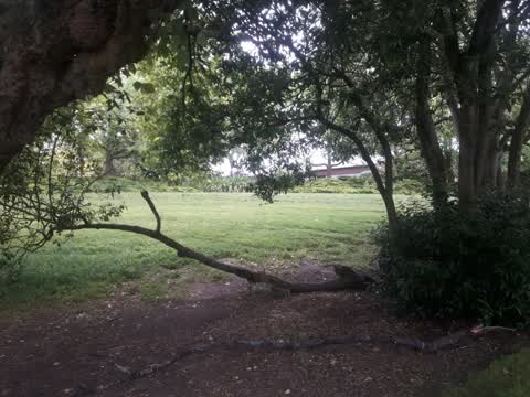 Parks, a report photo