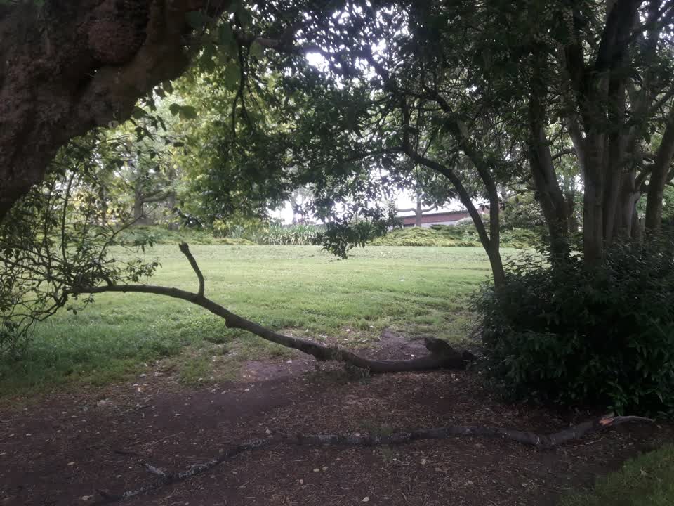 The photograph attached to this parks report