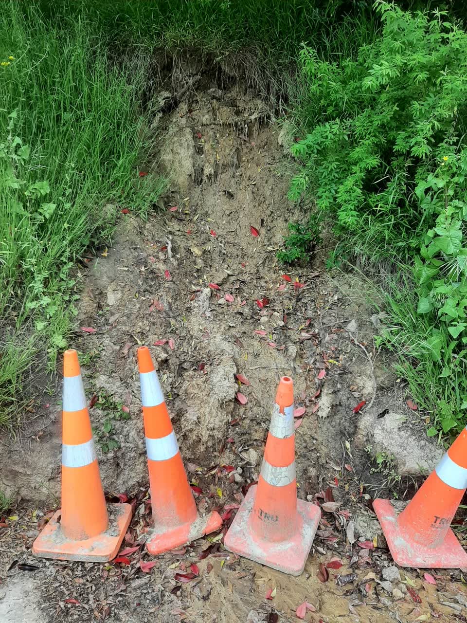 The photograph attached to this roading/streets report