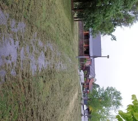 Parks, a report photo
