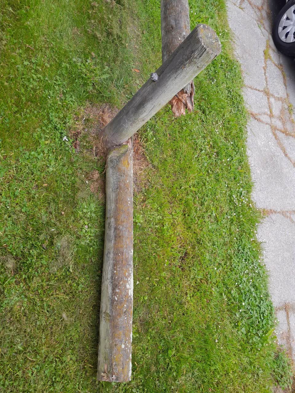 The photograph attached to this parks report