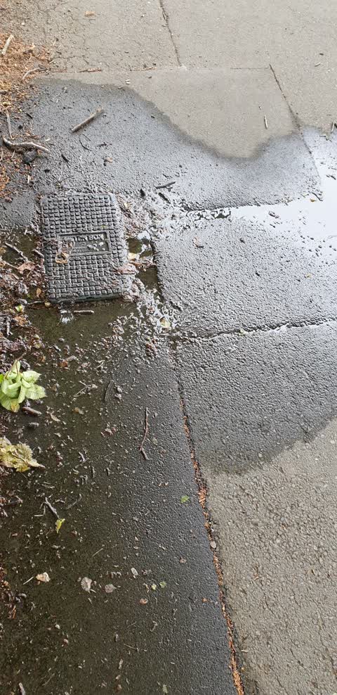 Water Leak, a report photo