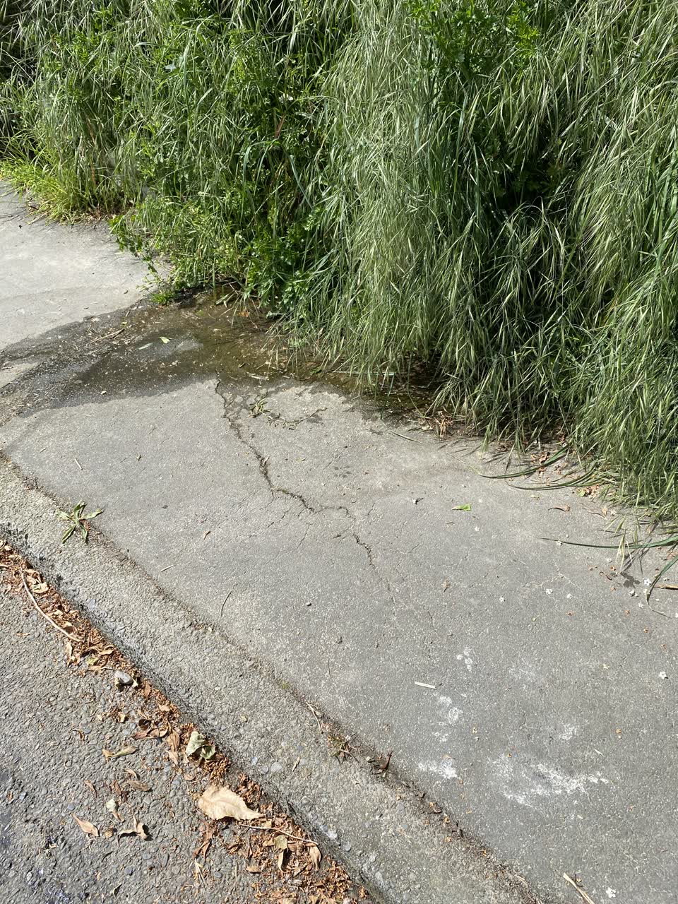 The photograph attached to this water leak report