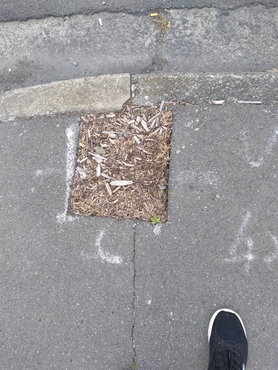 The photograph attached to this roading/streets report