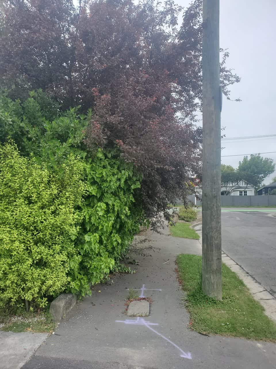 The photograph attached to this roading/streets report