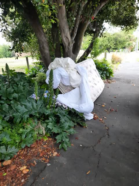 Rubbish/Recycling, a report photo