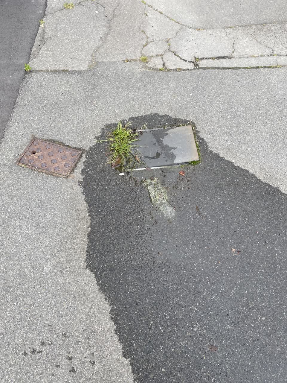 The photograph attached to this water leak report